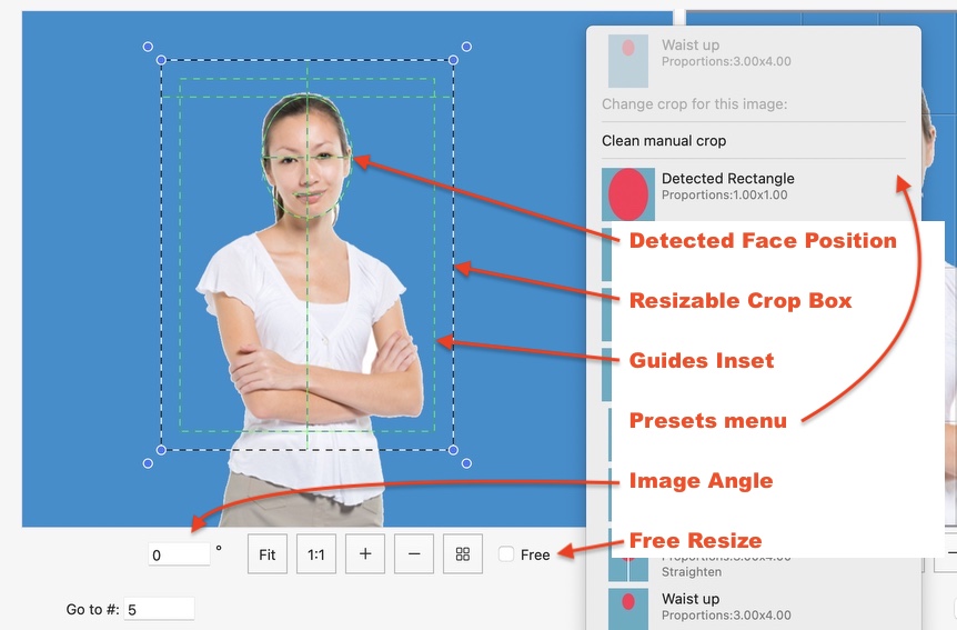 Frame-A-Face Interface: Original image preview panel