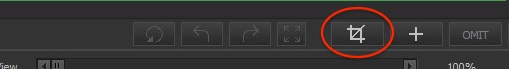 Frame-A-Face Interface: Open crop setup button