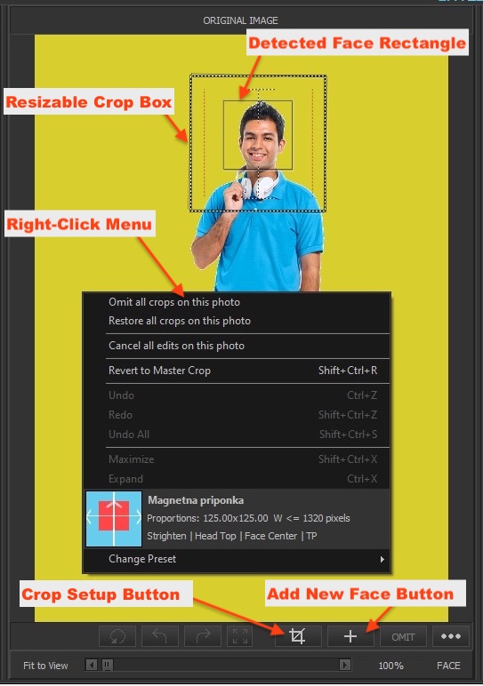 Frame-A-Face Interface: Original image preview panel