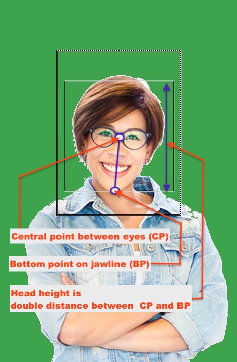 Frame-A-Face preset - face detection metrics points