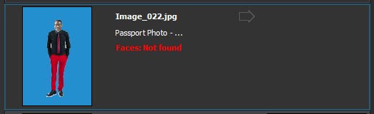 Frame-A-Face Interface: File list item with no detected faces