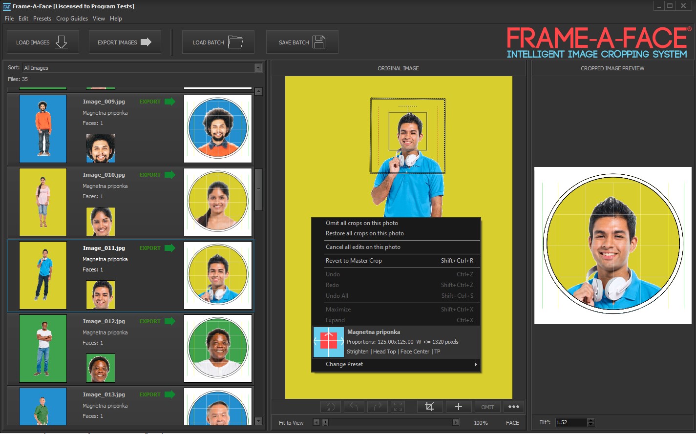 Frame-A-Face Interface: Main window with masked preset